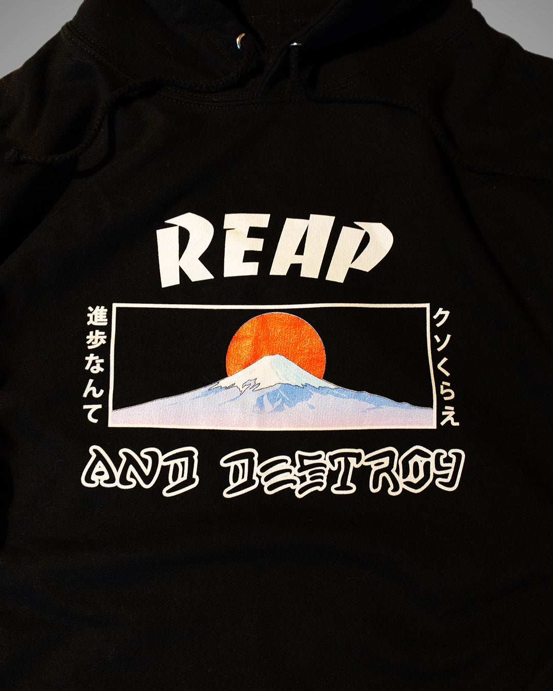 Reap And Destroy Hoody