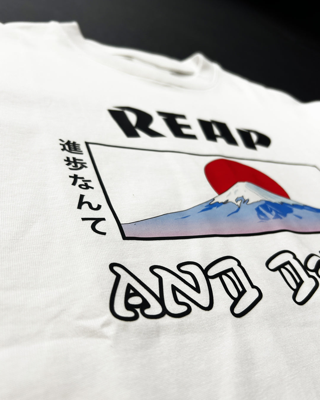 Mt Fuji Heavyweight Tee