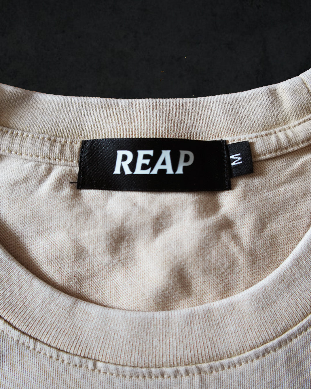 Dual Tigers Oversized Tee