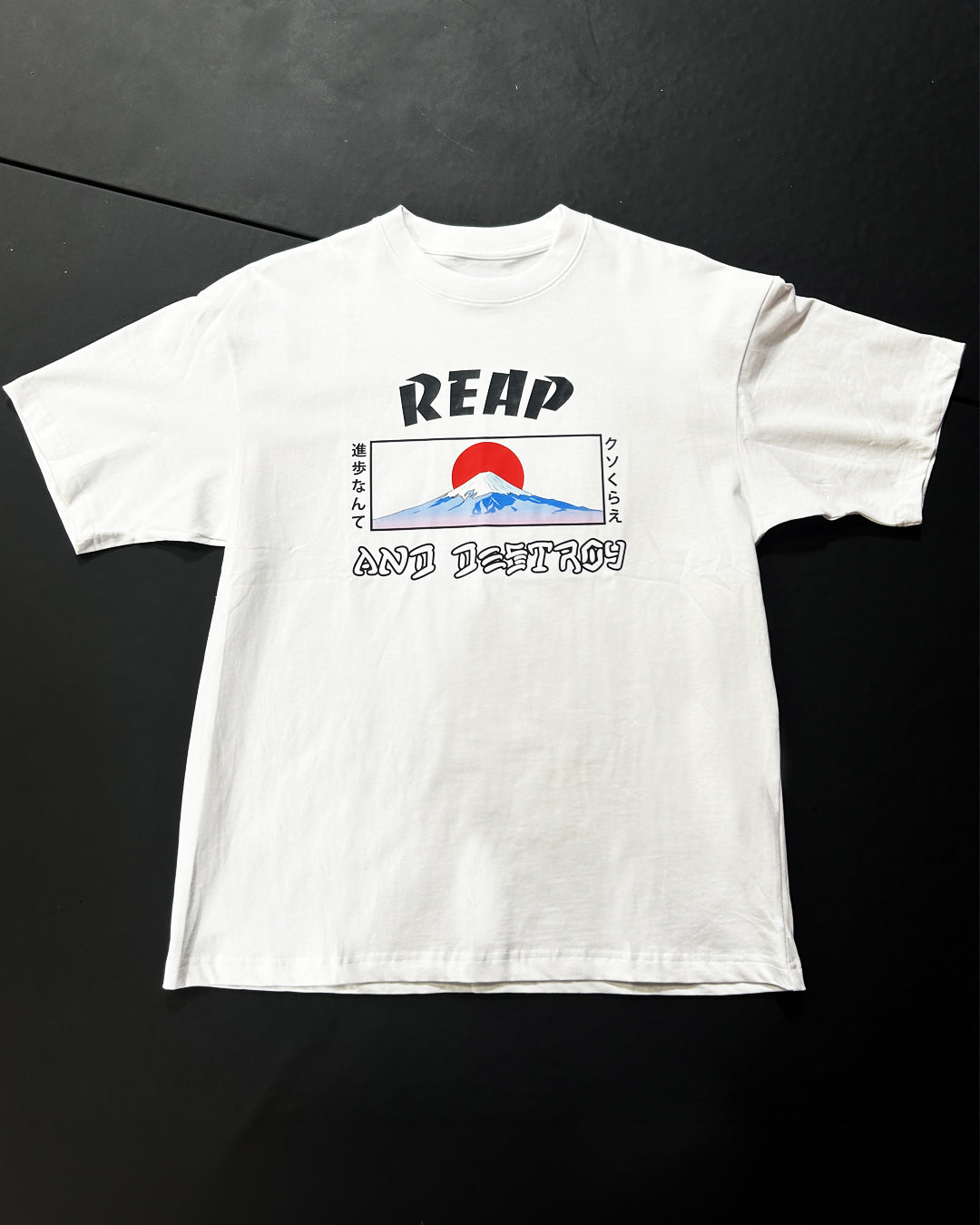 Mt Fuji Heavyweight Tee