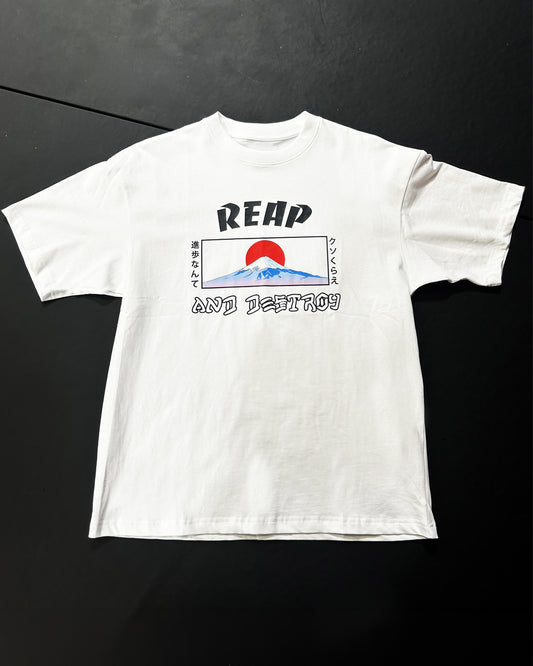Mt Fuji Heavyweight Tee
