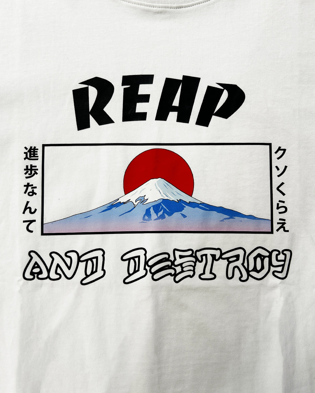 Mt Fuji Heavyweight Tee
